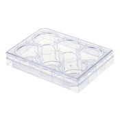6 Well Cell Culture Plate